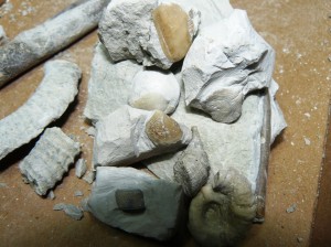 Kleinkram